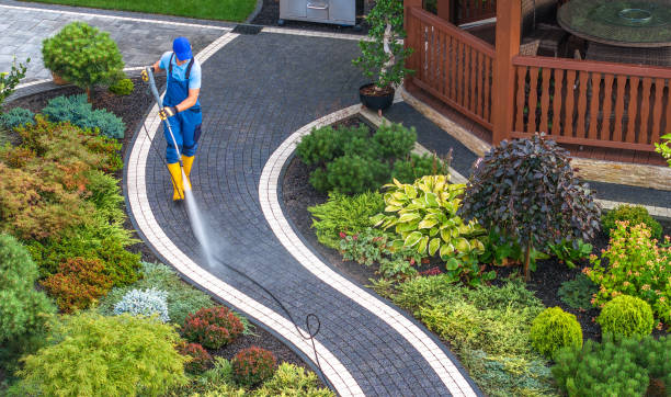 Best Roof Power Washing Services  in Greenville, NC